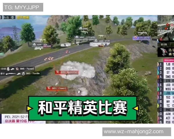 和平精英焦点RNG战队比赛经验分析与策略探讨